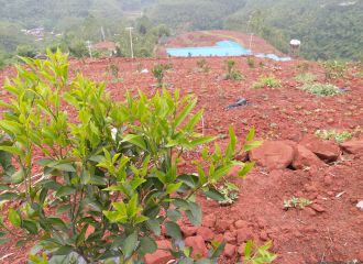 ϵһļL(zhng)rr(nng)ؿ