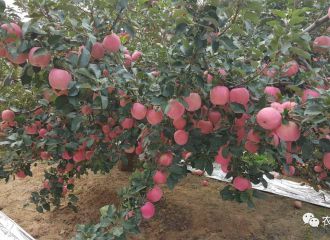 䌍(sh)㲻֪䠀80%@Щԭɵ